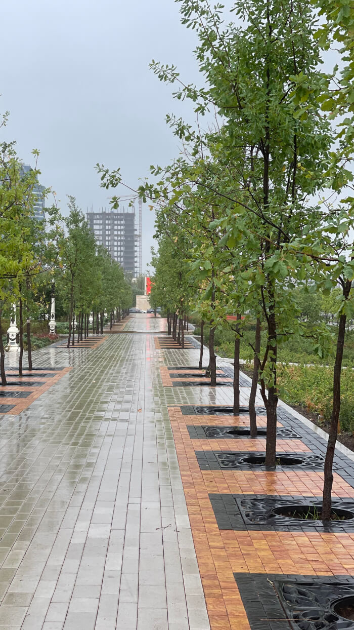 Приствольная решетка для дерева ZKING CRUST 1.2х1.2м Черная в Ачинске фото